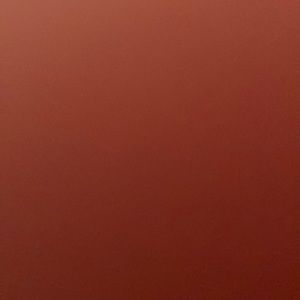 Meet your Posher, Tamara